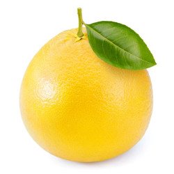 GRAPEFRUIT BLANC 35PCS